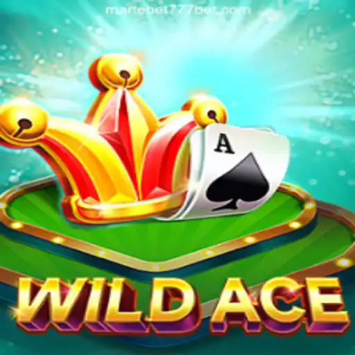 Exploring the Excitement of WildAce on Martebet777